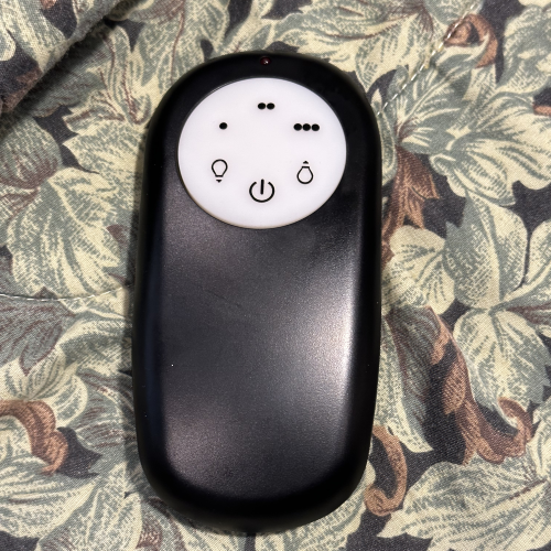 Ceiling fan remote